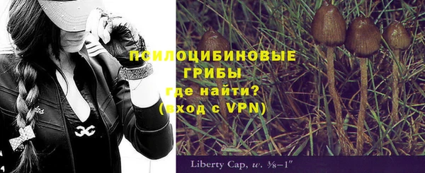 а пвп мука Абдулино