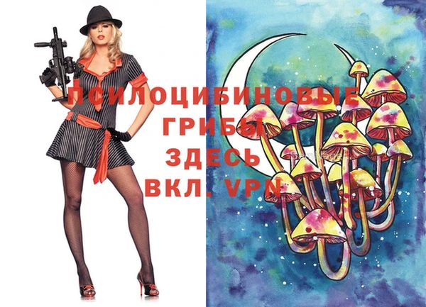 прущая мука Абаза