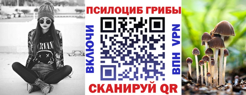 Галлюциногенные грибы прущие грибы  Болгар 